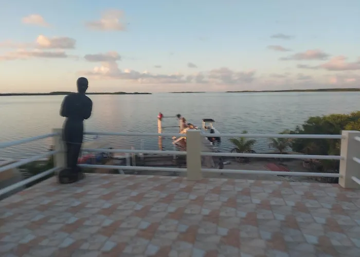 The Spot Tarpon Bay